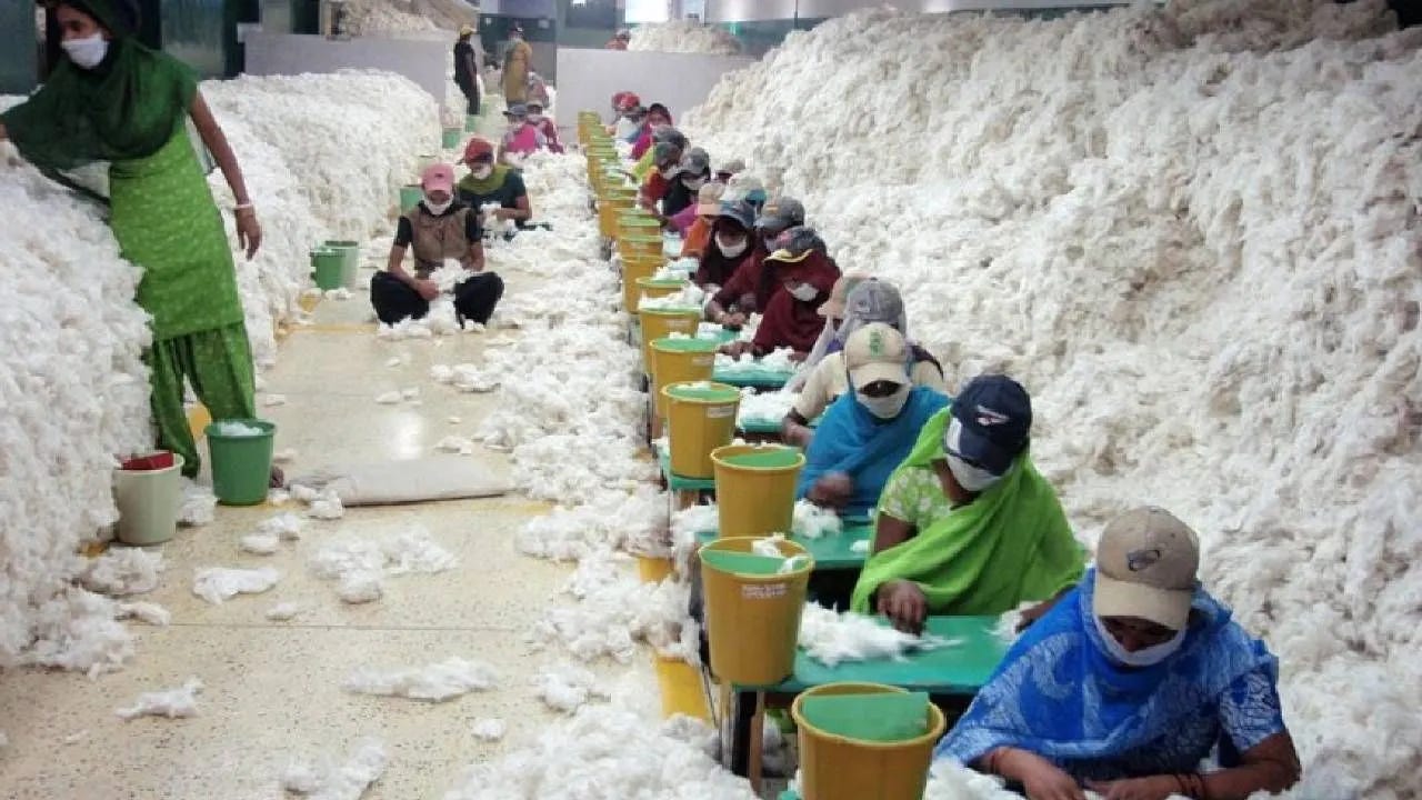 Weekly Cotton Market Update – Week 10, 2026