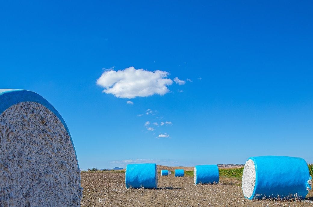 Weekly Cotton Market Update – Week 12, 2026