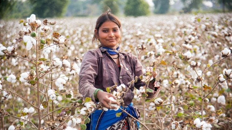 Weekly Cotton Market Update – Week 16, 2026
