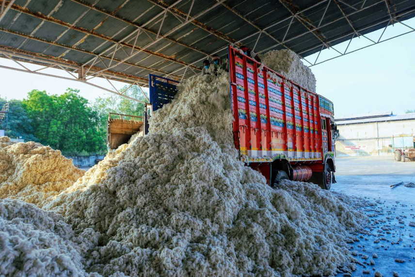 Cotton Intelligence